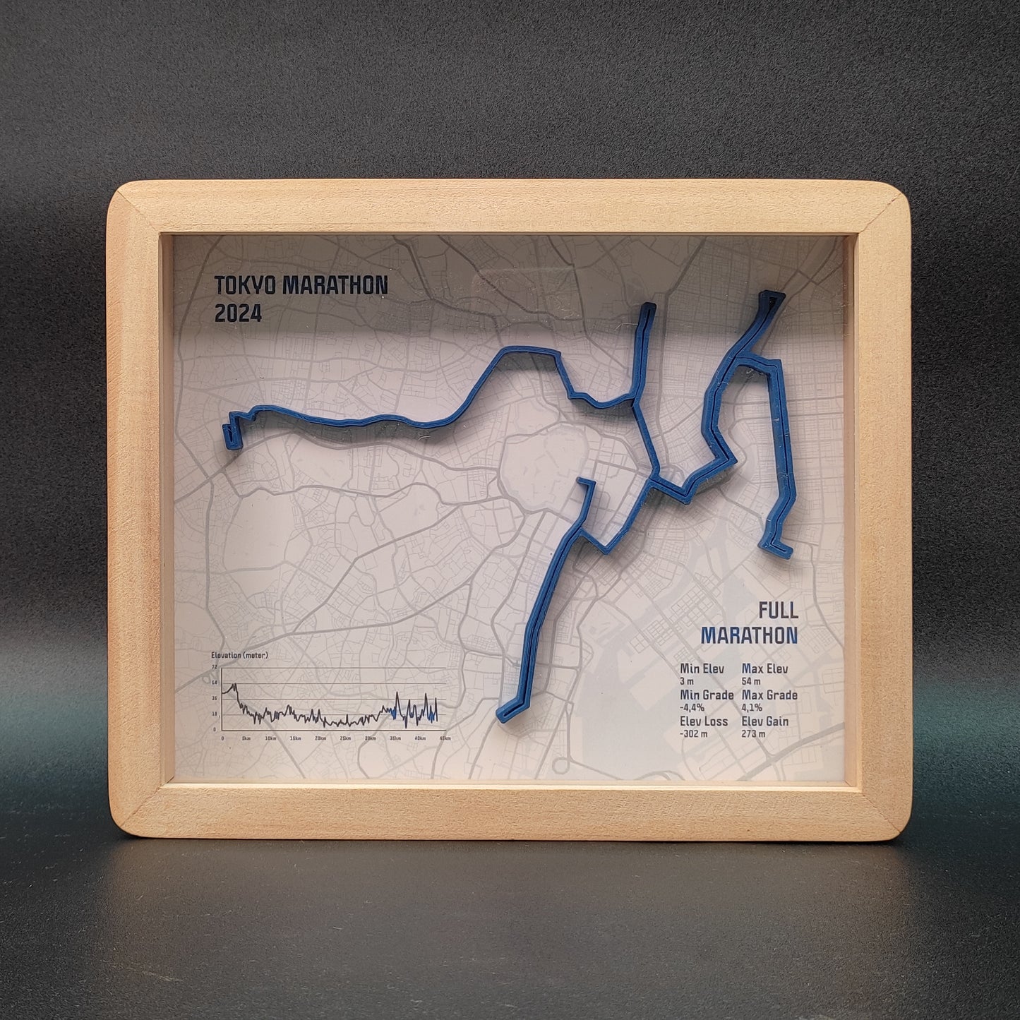 Tokyo Marathon 2024 3D Race Route Map Poster - Front