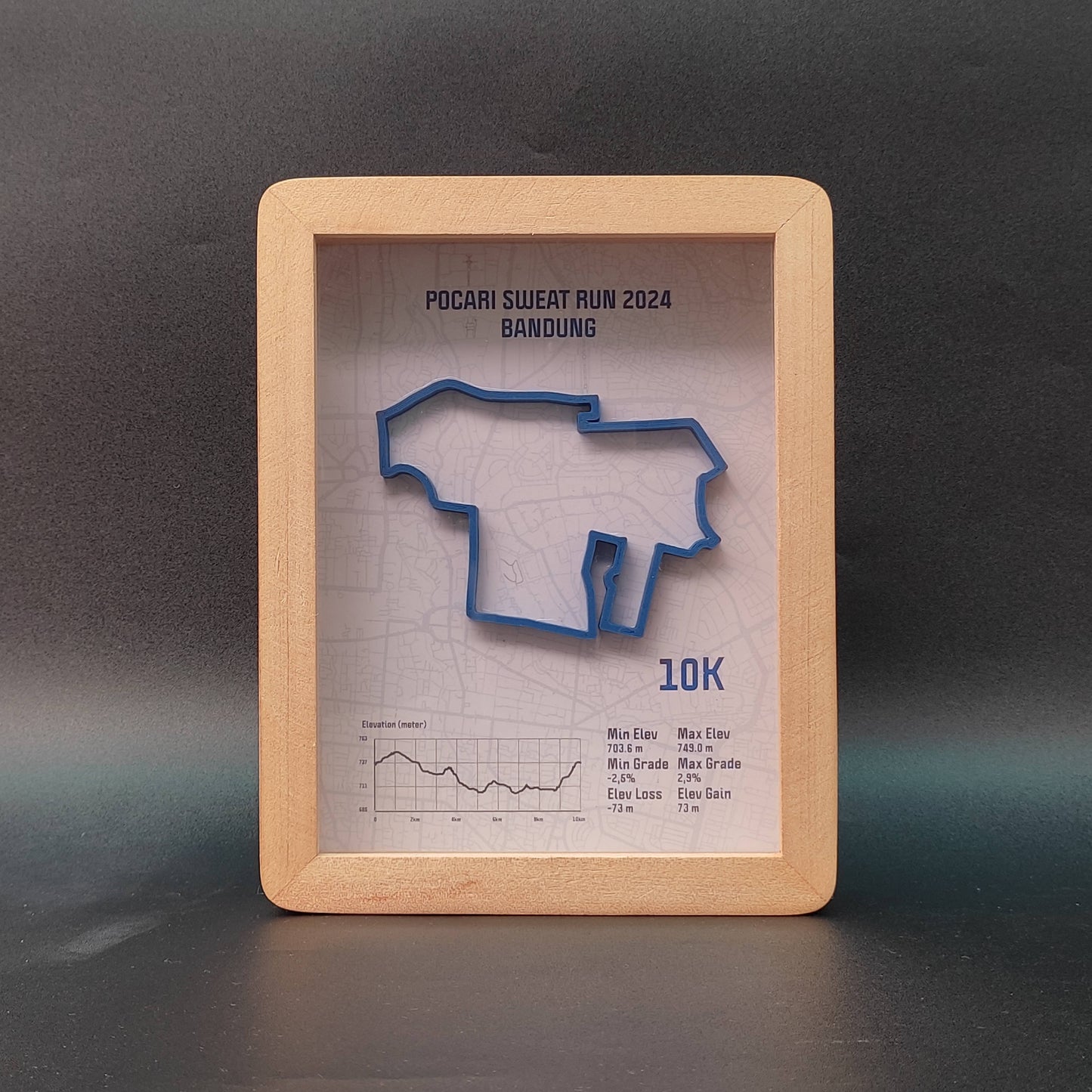 Pocari Sweat Run 10K 2024 3D Race Route Map Poster - Front