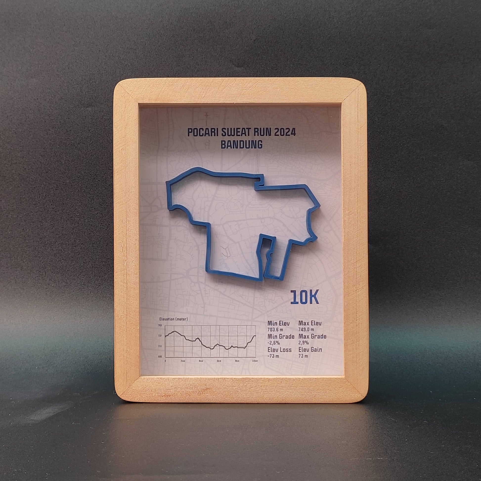 Pocari Sweat Run 10K 2024 3D Race Route Map Poster - Front